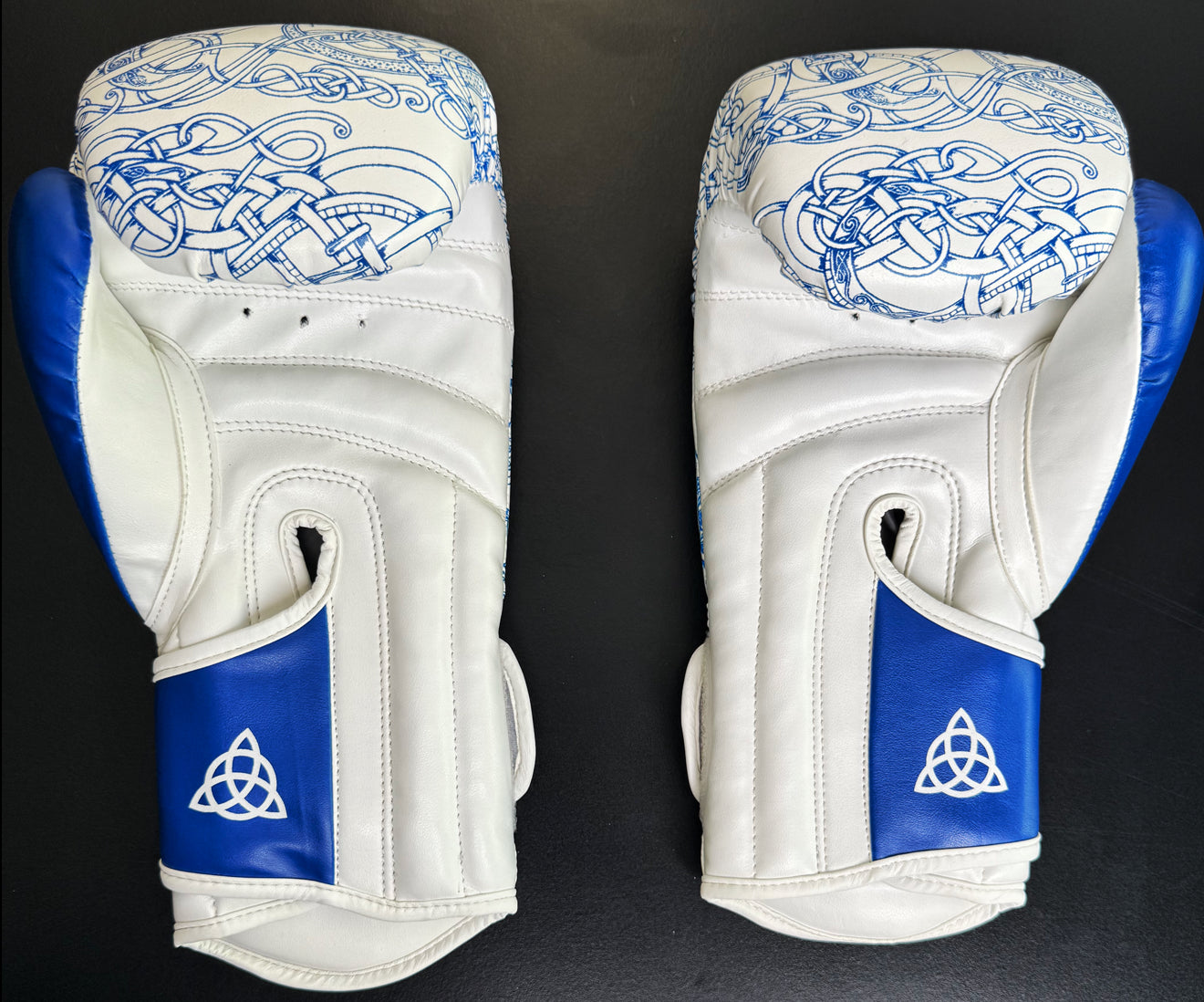 “World Serpent” Boxing Gloves